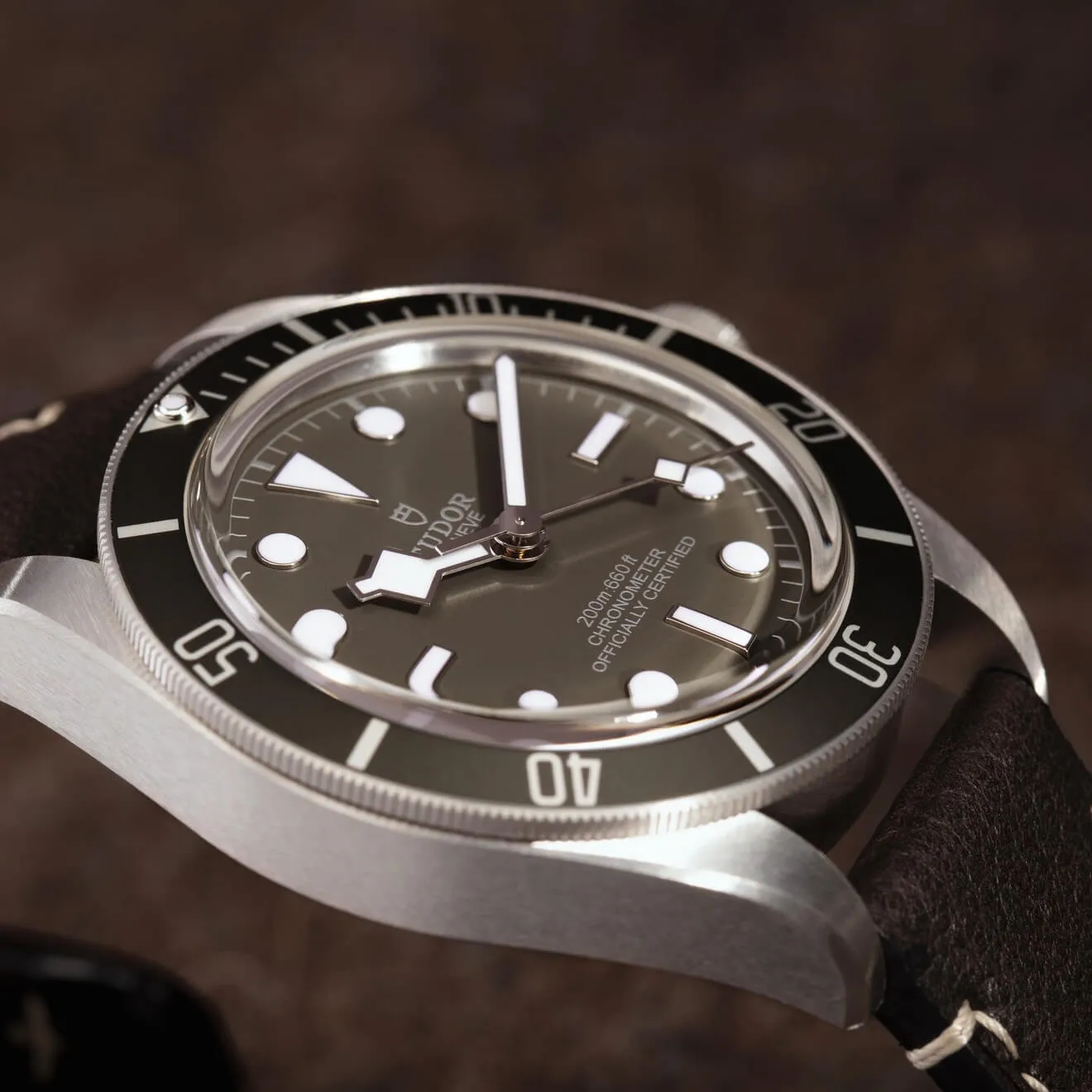 Tudor Black Bay Fifty-Eight 925 Ref. 79010SG-0001 - Mamic 1970