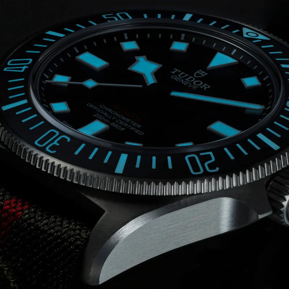 TUDOR Pelagos FXD Ref.M25717N-0001 - Mamic 1970